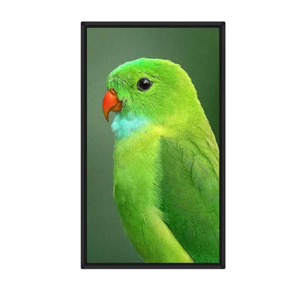 65" Wall Mounting Digital Signage